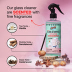 Clean Home Starter Kit