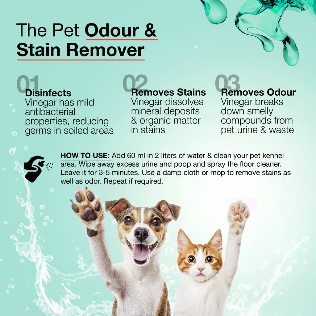 Floor Cleaner, French Connection Scent, Ants & Cockroach Repellent